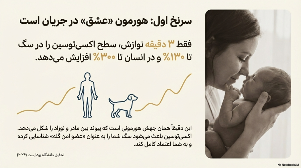 نوازش سگ، چرا سگها عاشق نوازش شدن هستند؟ 1 نوازش سگ