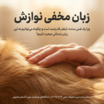 نوازش سگ، چرا سگ‌ها عاشق نوازش شدن هستند؟