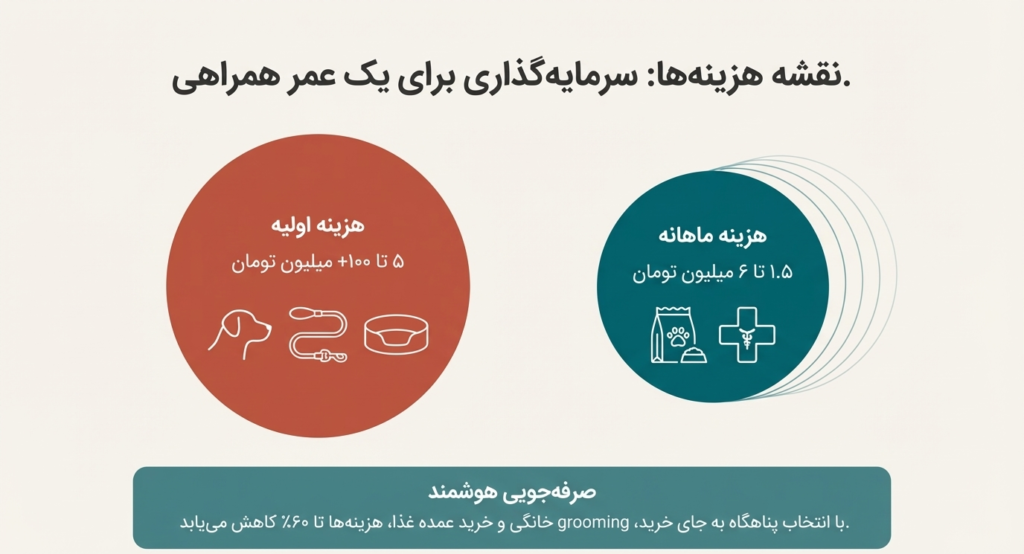 راهنمای کامل نگهداری از سگ در خانه (۱۴۰۴ / ۲۰۲۵) 11 نگهداری از سگ