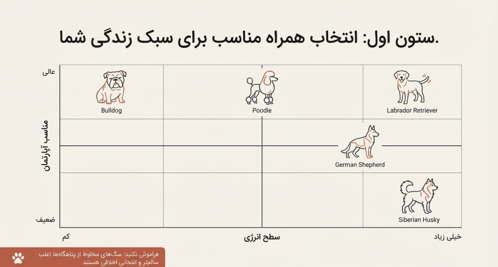 راهنمای کامل نگهداری از سگ در خانه (۱۴۰۴ / ۲۰۲۵) 3 نگهداری از سگ