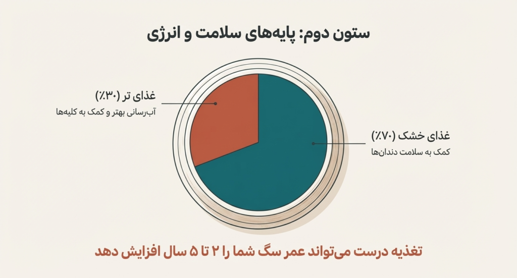 راهنمای کامل نگهداری از سگ در خانه (۱۴۰۴ / ۲۰۲۵) 4 نگهداری سگ
