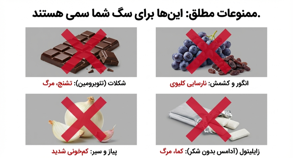 راهنمای کامل نگهداری از سگ در خانه (۱۴۰۴ / ۲۰۲۵) 5 نگهداری از سگ