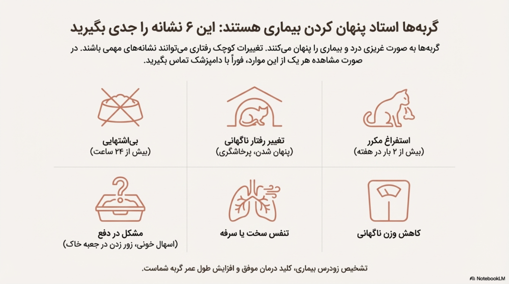 راهنمای کامل نگهداری از گربه در خانه (۱۴۰۴ / ۲۰۲۵) 9 نگهداری از گربه