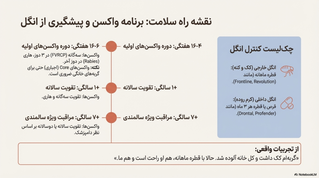 راهنمای کامل نگهداری از گربه در خانه (۱۴۰۴ / ۲۰۲۵) 10 نگهداری از گربه