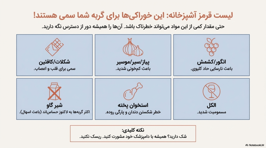 راهنمای کامل نگهداری از گربه در خانه (۱۴۰۴ / ۲۰۲۵) 6 نگهداری از گربه
