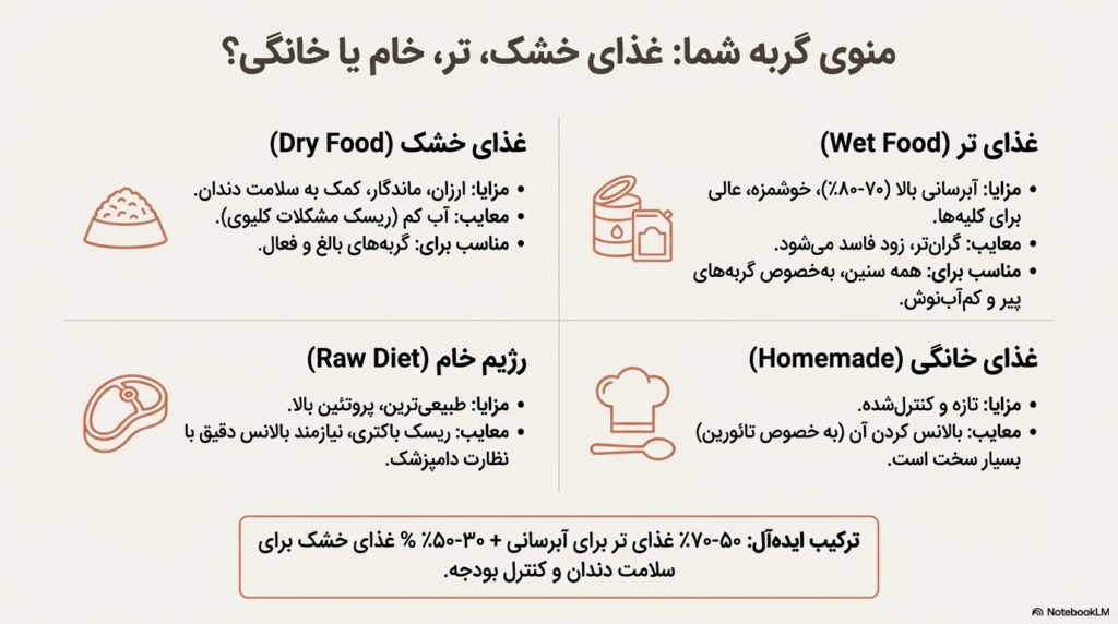 راهنمای کامل نگهداری از گربه در خانه (۱۴۰۴ / ۲۰۲۵) 5 نگهداری از گربه