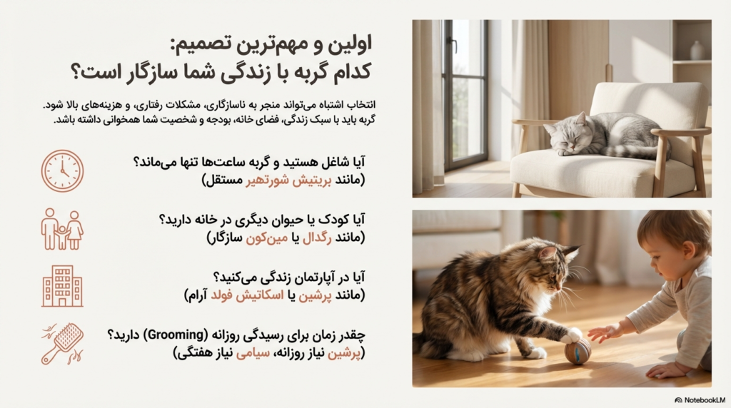 راهنمای کامل نگهداری از گربه در خانه (۱۴۰۴ / ۲۰۲۵) 2 نگهداری از گربه