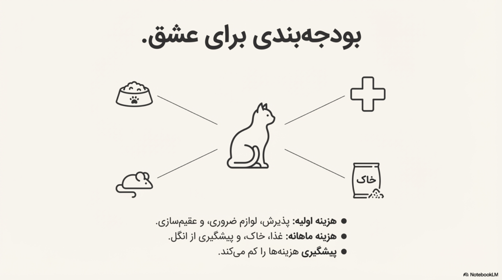 راهنمای کامل نگهداری از گربه در خانه (۱۴۰۴ / ۲۰۲۵) 16 نگهداری از گربه