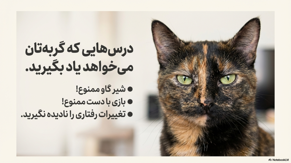 راهنمای کامل نگهداری از گربه در خانه (۱۴۰۴ / ۲۰۲۵) 7 نگهداری از گربه