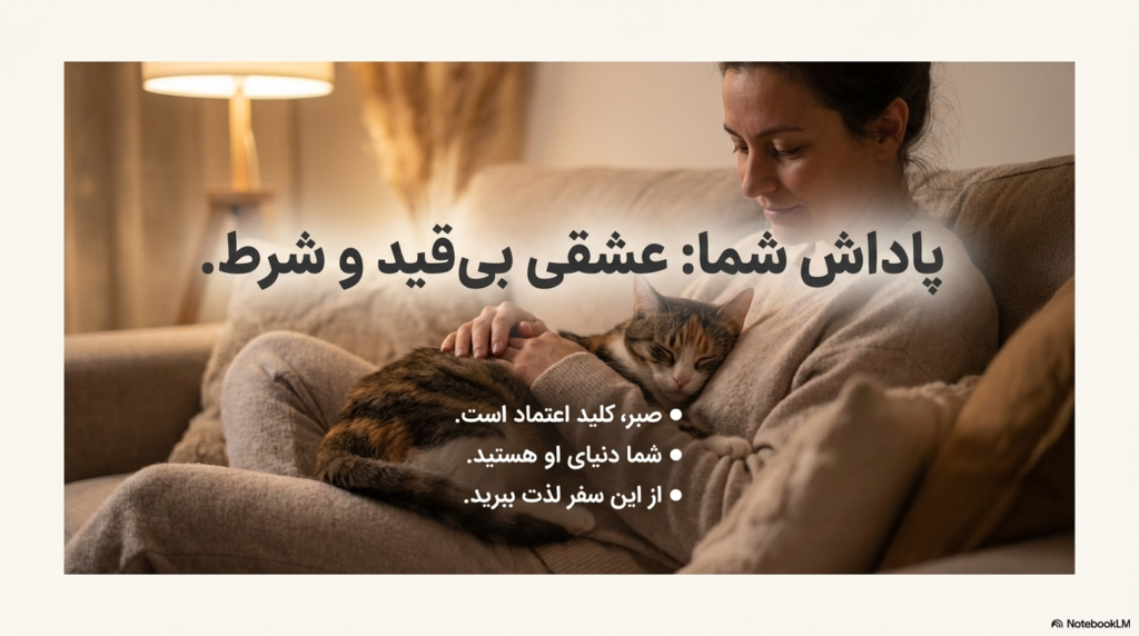 راهنمای کامل نگهداری از گربه در خانه (۱۴۰۴ / ۲۰۲۵) 1 نگهداری از گربه