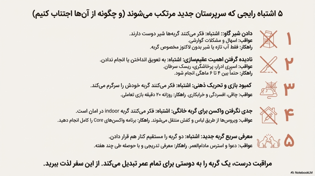 راهنمای کامل نگهداری از گربه در خانه (۱۴۰۴ / ۲۰۲۵) 18 نگهداری از گربه