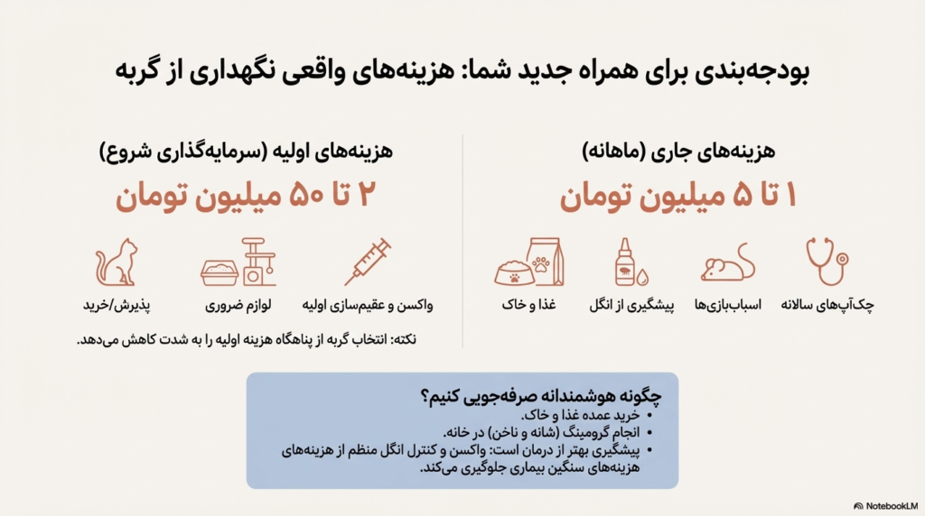 راهنمای کامل نگهداری از گربه در خانه (۱۴۰۴ / ۲۰۲۵) 17 نگهداری از گربه