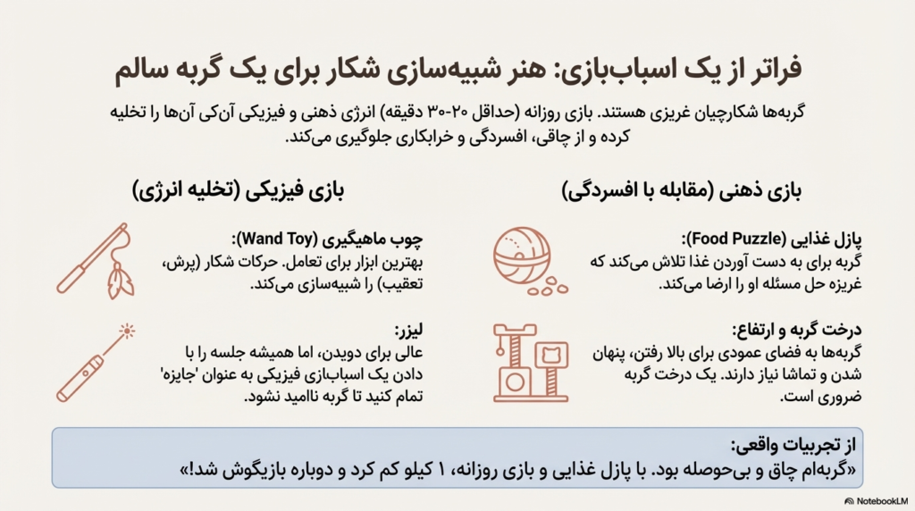 راهنمای کامل نگهداری از گربه در خانه (۱۴۰۴ / ۲۰۲۵) 13 نگهداری از گربه