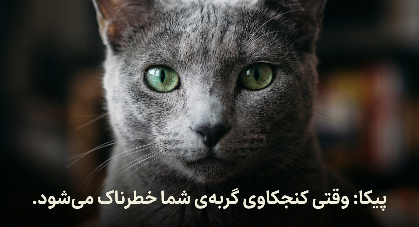 پیکا در گربه‌ها