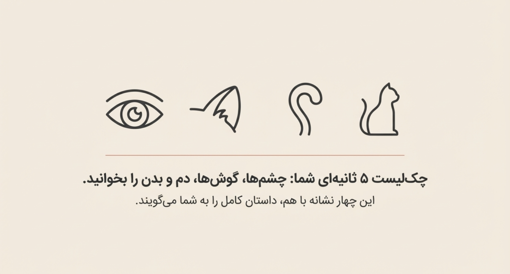 چزا گزبه‌ام به من خیره می‌شود؟