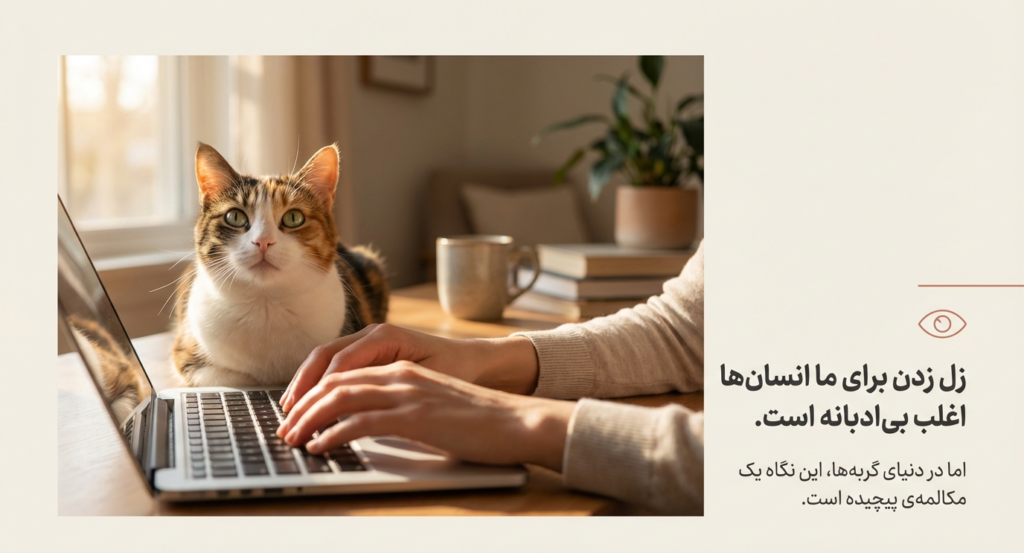 چزا گزبه‌ام به من خیره می‌شود؟