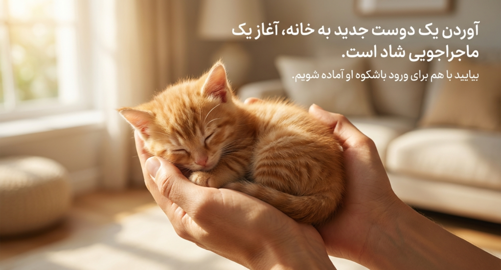 چک‌لیست بچه‌گربه جدید