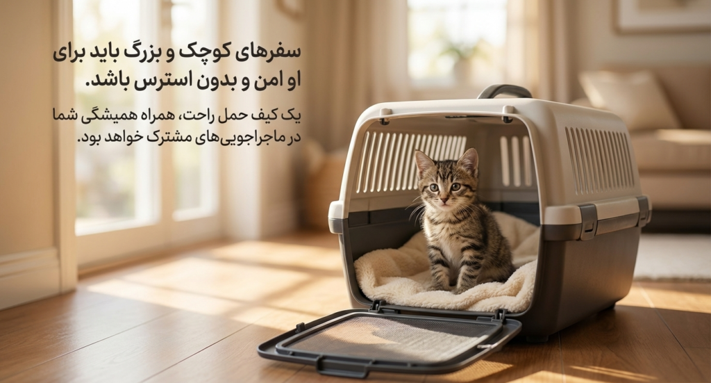 چک‌لیست بچه‌گربه جدید