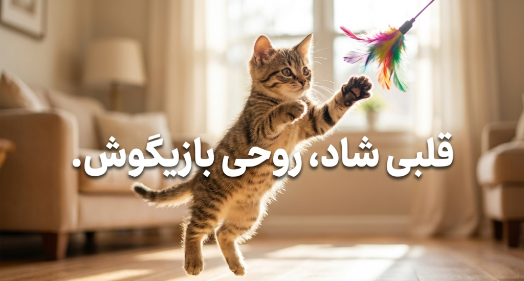 چک‌لیست بچه‌گربه جدید