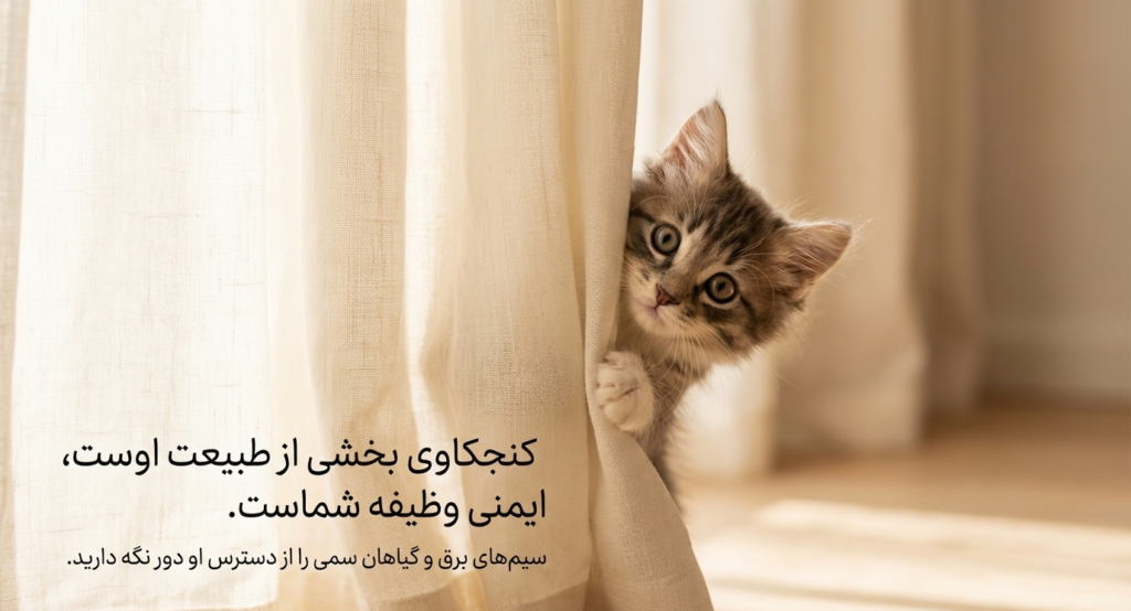 چک‌لیست بچه‌گربه جدید