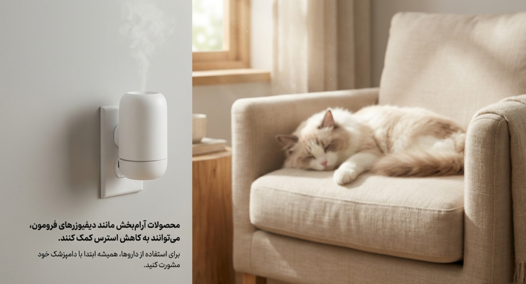 گربه‌ها چگونه دوست می‌شوند؟