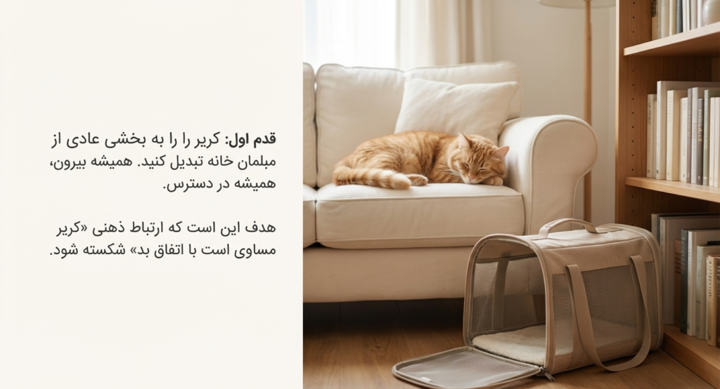 عادت دادن گربه به کریر