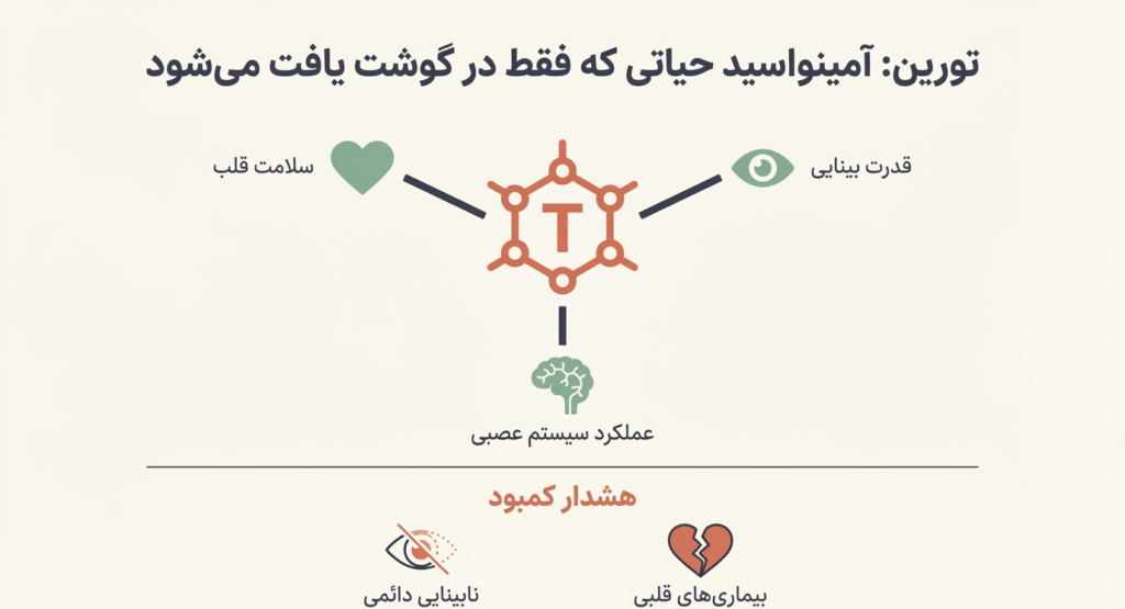 غذای مناسب بچه گربه