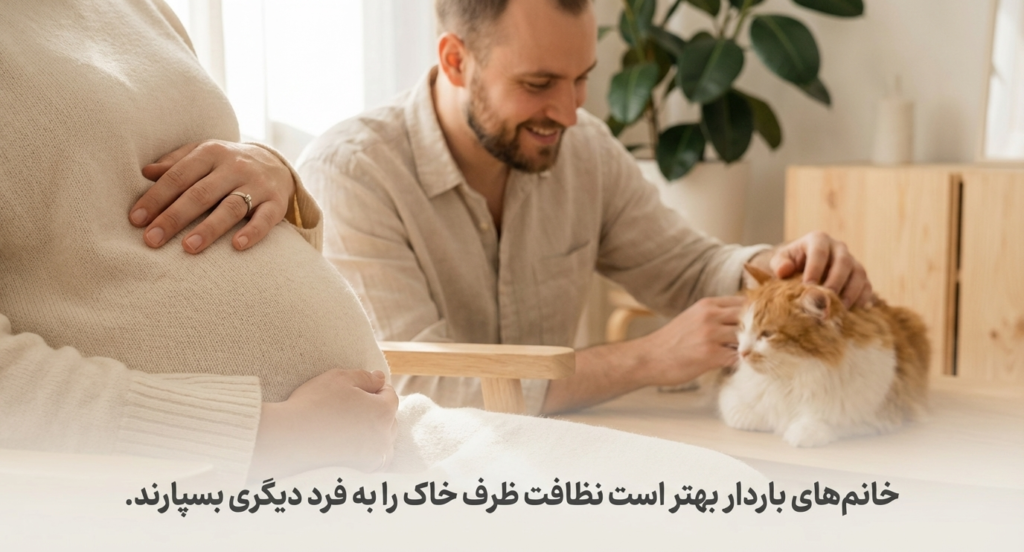 آموزش تمیز کردن خاک گربه (لیتر باکس) راهنمای کامل و اصولی 5 آموزش تمیز کردن خاک گربه