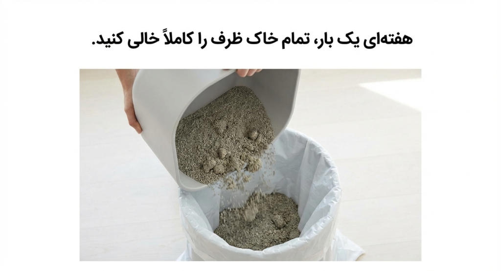 آموزش تمیز کردن خاک گربه (لیتر باکس) راهنمای کامل و اصولی 3 آموزش تمیز کردن خاک گربه