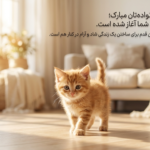 آموزش دستشویی رفتن بچه گربه