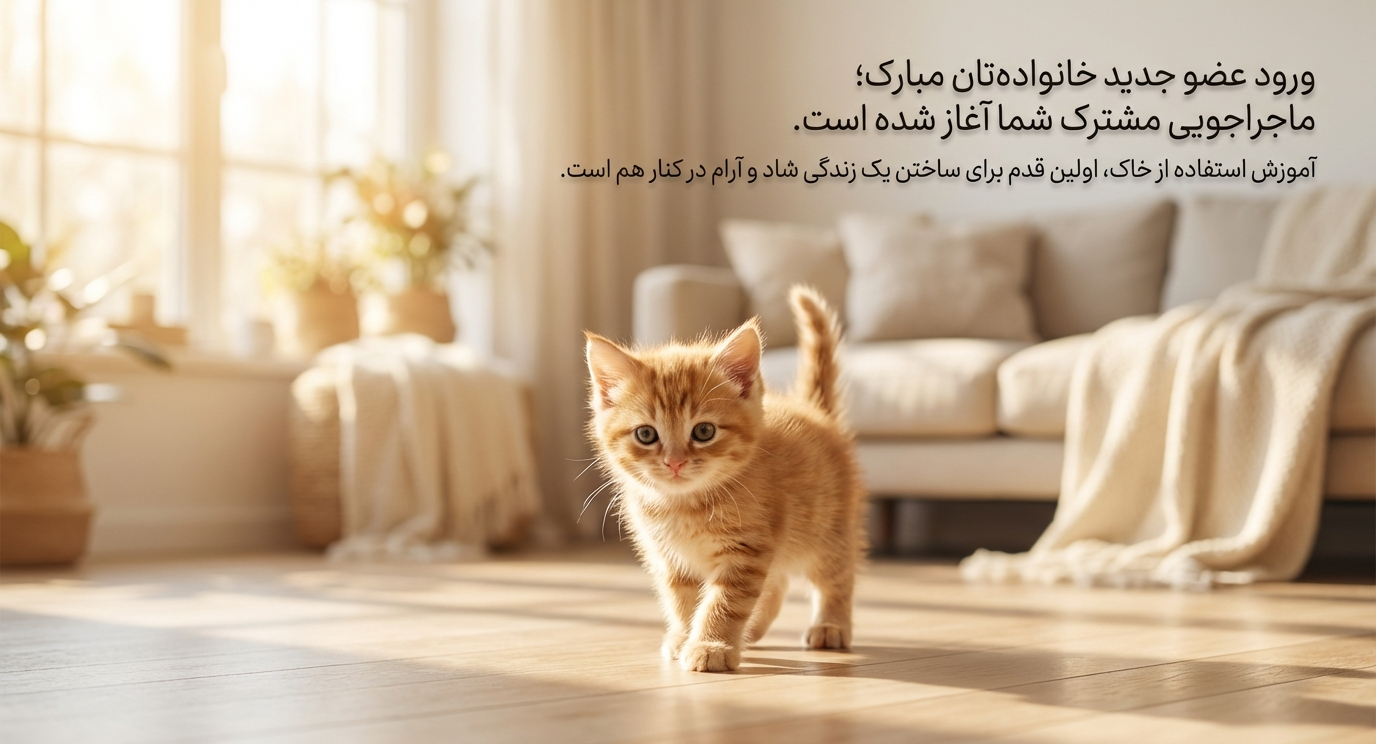 آموزش دستشویی رفتن بچه گربه