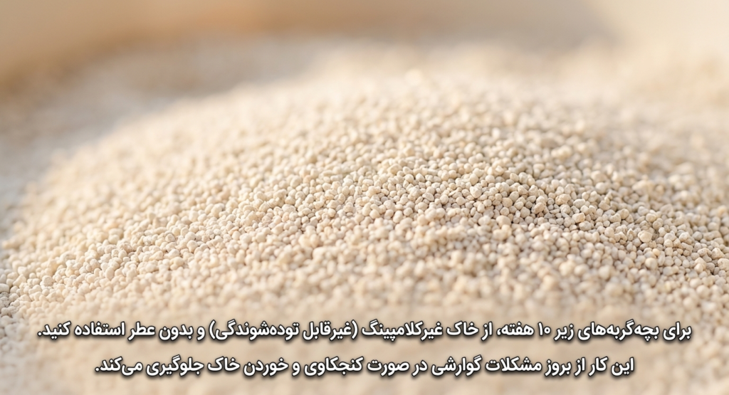 آموزش دستشویی رفتن بچه گربه 3 آموزش دستشویی رفتن بچه گربه