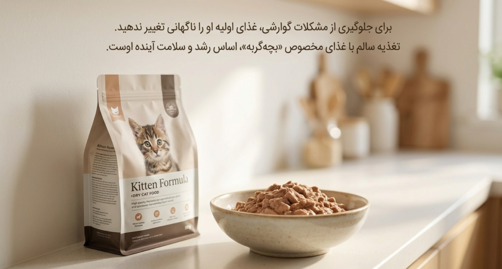 آوردن بچه‌گربه به خانه جدید