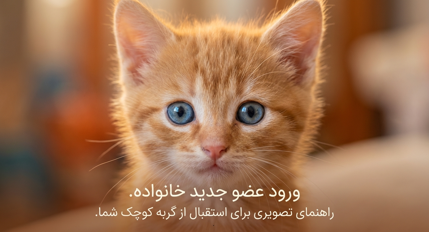 آوردن بچه‌گربه به خانه جدید