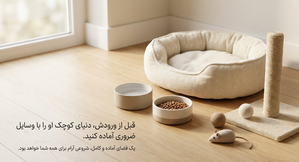 آوردن بچه‌گربه به خانه جدید