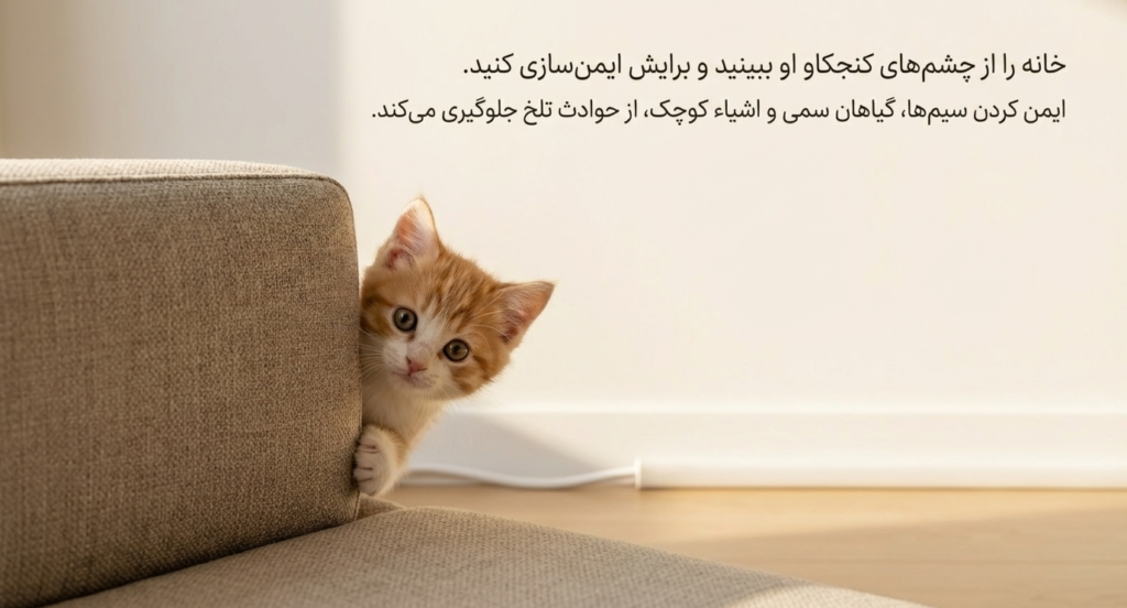 آوردن بچه‌گربه به خانه جدید