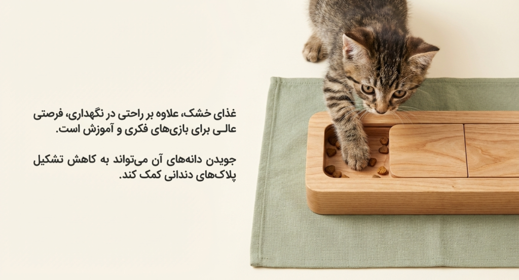 تغذیه در بچه گربه 5 تغذیه در بچه گربه