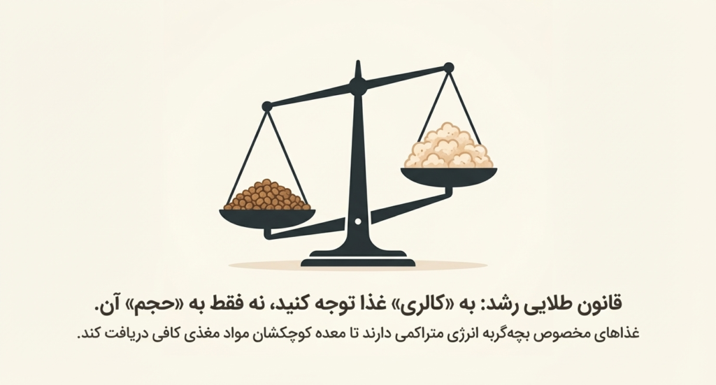 تغذیه در بچه گربه 7 تغذیه در بچه گربه