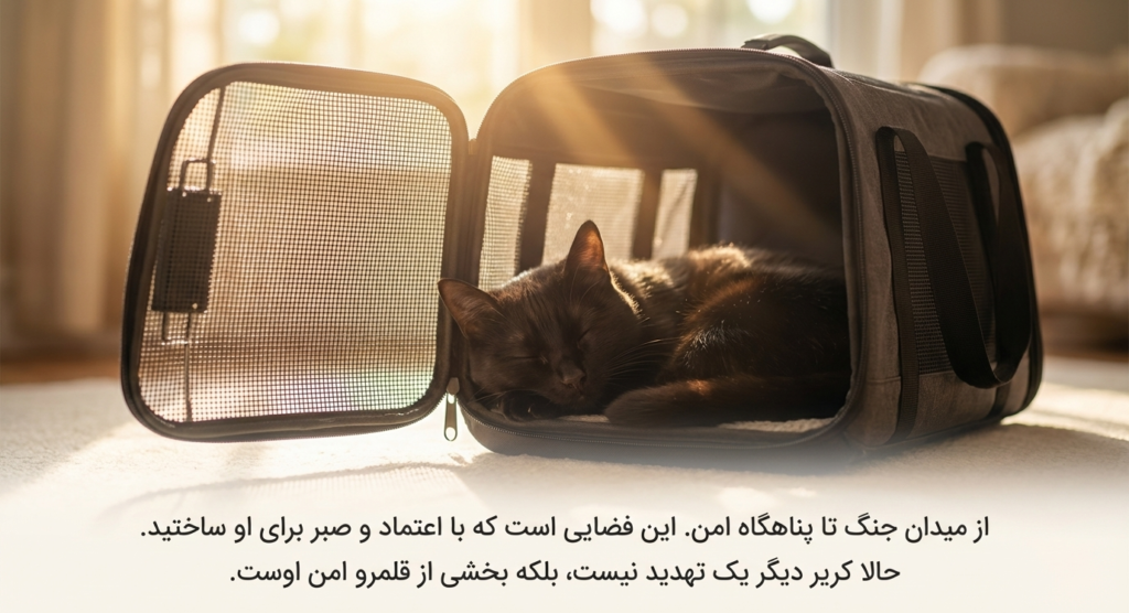 عادت دادن گربه به کریر 9 عادت دادن گربه به کریر