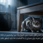 عادت دادن گربه به کریر