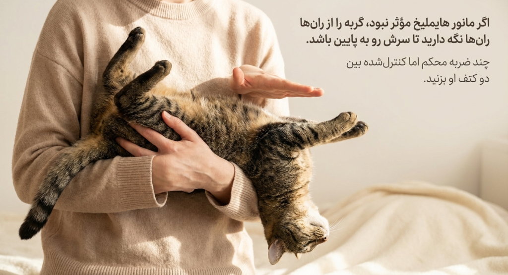 مانور هایملیخ در گربه‌ها