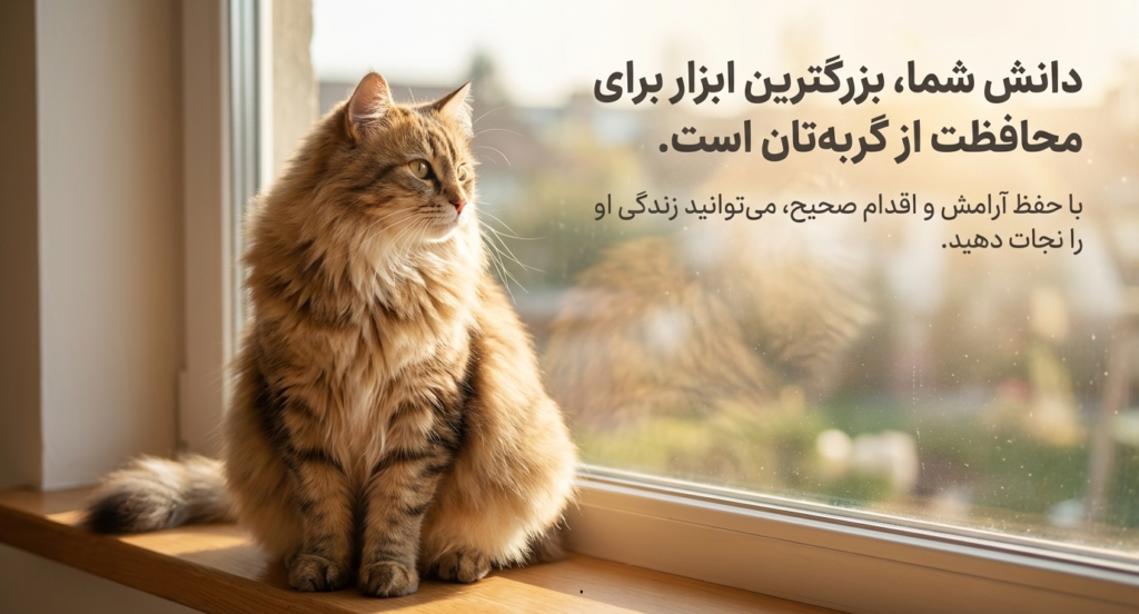 مانور هایملیخ در گربه‌ها