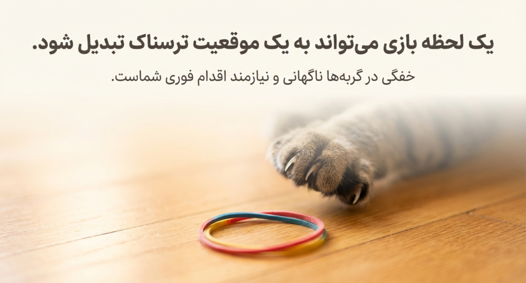 مانور هایملیخ در گربه‌ها