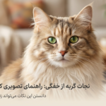 مانور هایملیخ در گربه‌ها