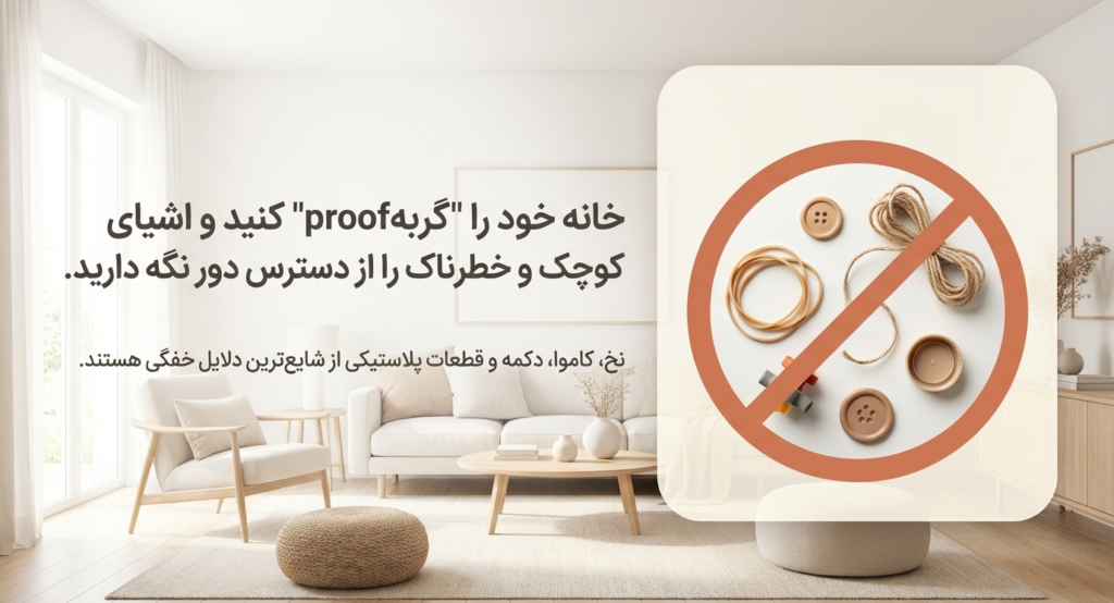 مانور هایملیخ در گربه‌ها