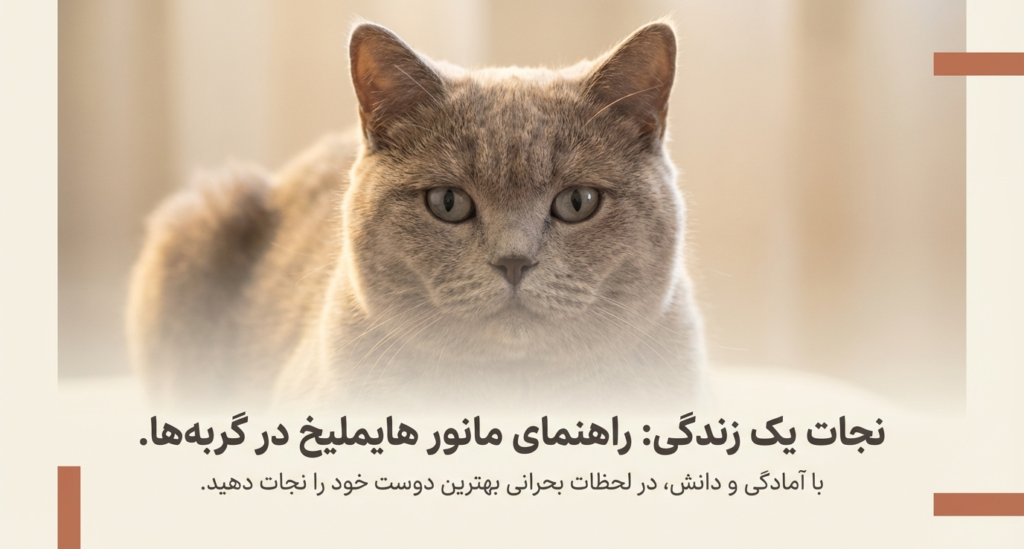 مانور هایملیخ در گربه‌ها