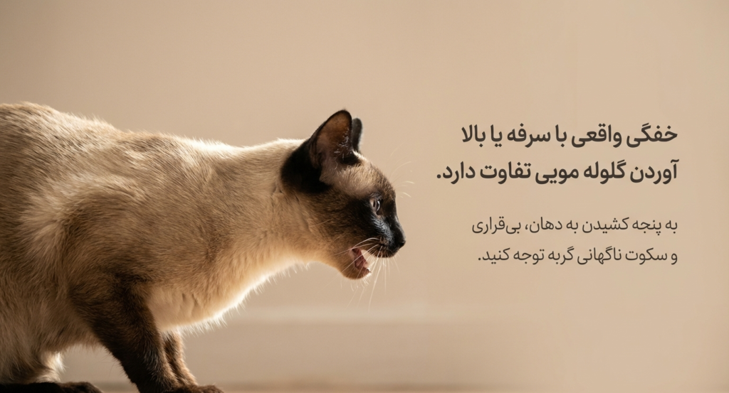 مانور هایملیخ در گربه‌ها