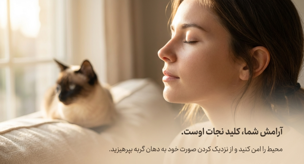 مانور هایملیخ در گربه‌ها