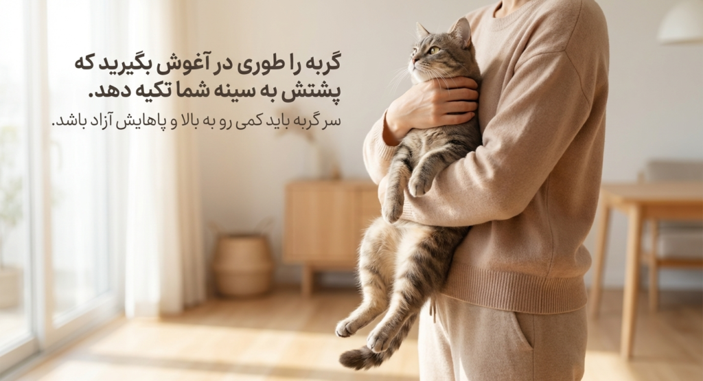 مانور هایملیخ در گربه‌ها