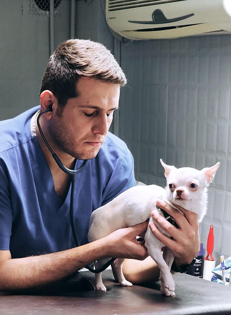 بیمارستان و دامپزشکی نیکان در تهران